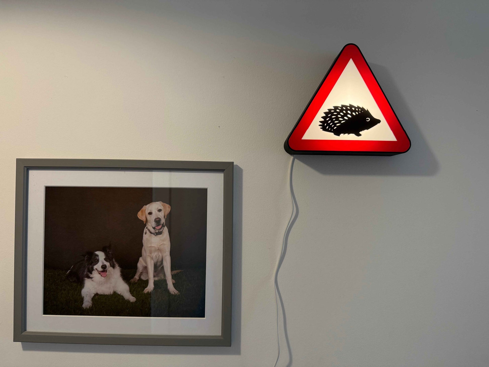 Warning! Hedgehog LED Lamp