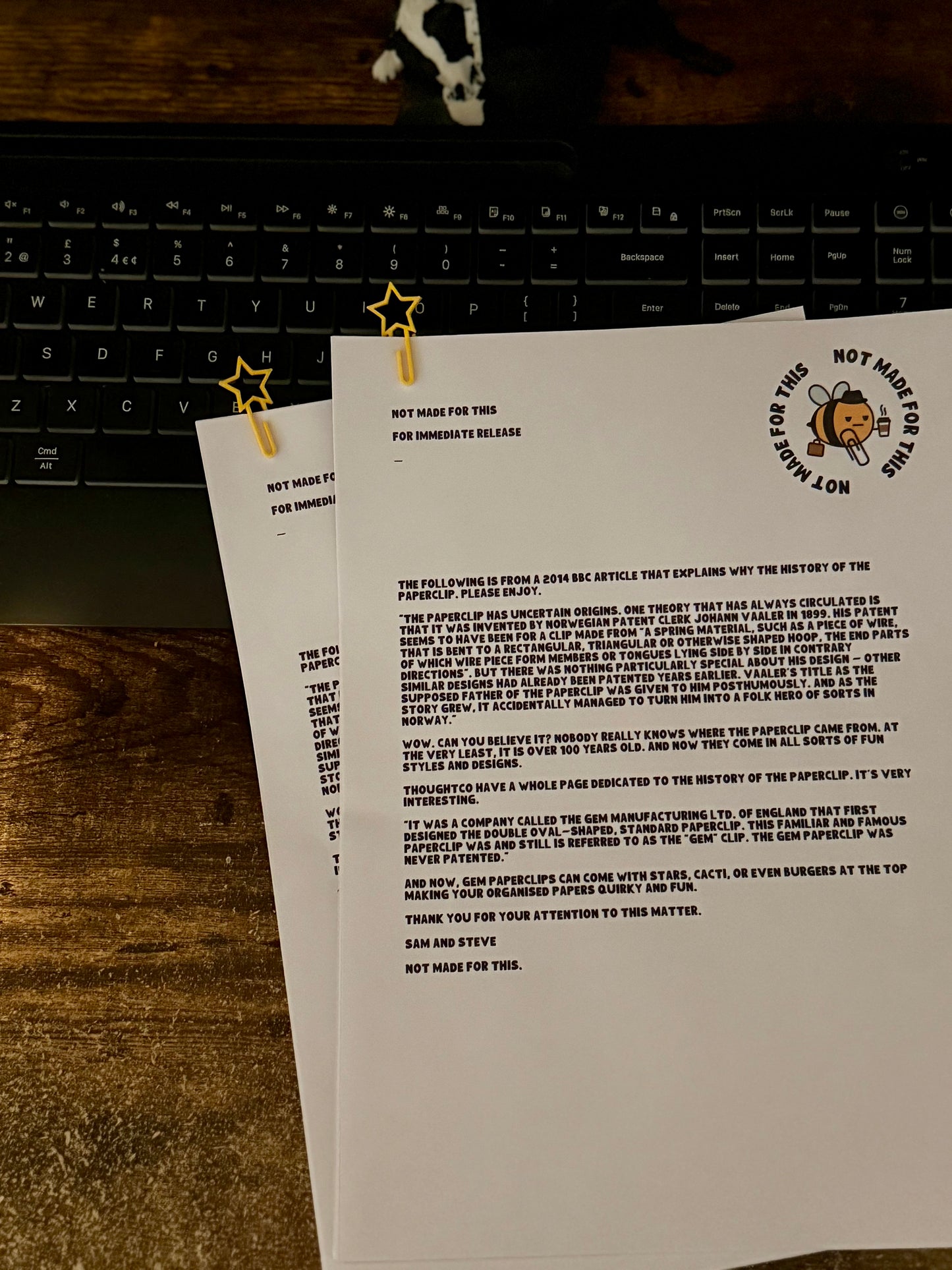 Star Paperclip 10 Pack | 3D Printed Novelty Paperclips | Not Made For This